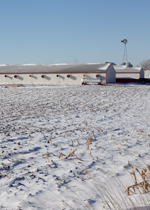 A pig barn in a snowy field.
