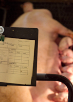 A sow card is clipped above a nursing mother's pen.