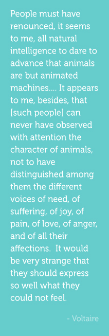 People must have renounced, it seems to me, all natural intelligence to dare to advance that animals are but animated machines.... It appears to me, besides, that [such people] can never have observed with attention the character of animals, not to have distinguished among them the different voices of need, of suffering, of joy, of pain, of love, of anger, and of all their affections.  It would be very strange that they should express so well what they could not feel. -Voltaire