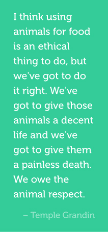 I think using animals for food is an ethical thing to do, but we've got to do it right. We've got to give those animals a decent life and we've got to give them a painless death. We owe the animal respect. Temple Grandin